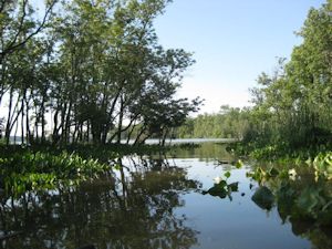 A Dyke Marsh inlet