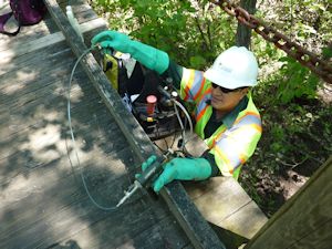 Lizardo Bonilla-Teza of Bartlett Tree Experts