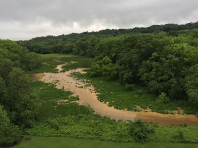 Dyke Marsh west