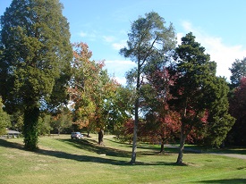 GW Parkway