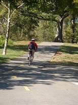 cyclist