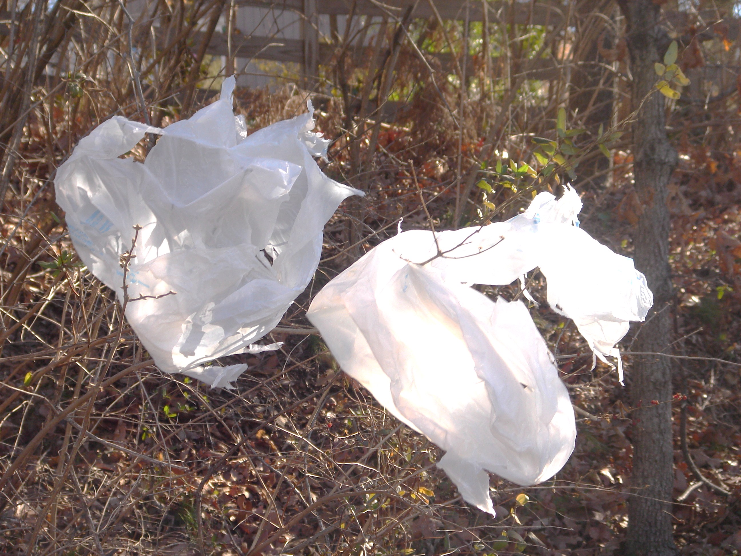 Plastic Bags 2