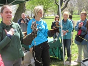 Screech owl and kestrel