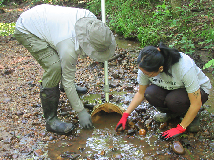 The_group_scooped_up_sediments_from_the_stream_bed-700.jpg