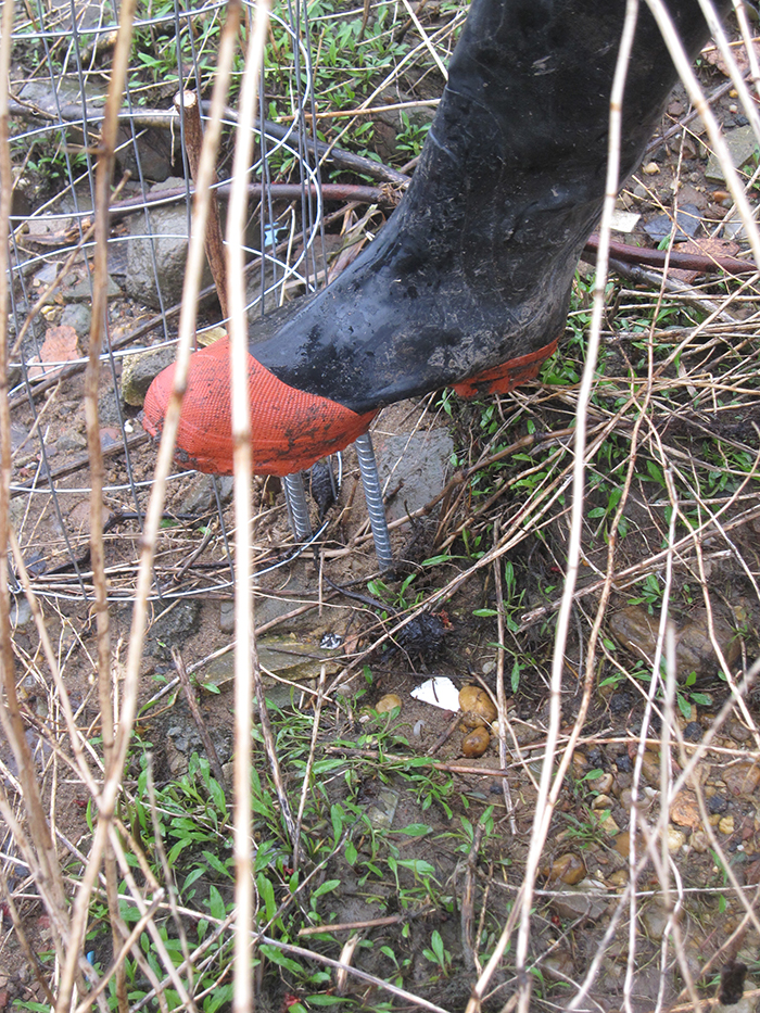 They_secured_the_cages_with_metal_pins_in_the_ground-2-700.jpg