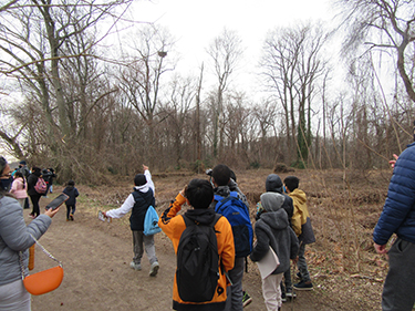 Viewing Eagle Nest 3