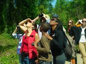 FODMers leading bird walks