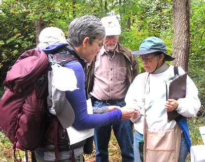 margaret_chatham_fall_colors_walk-GB.jpg